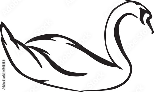 Floating Swan