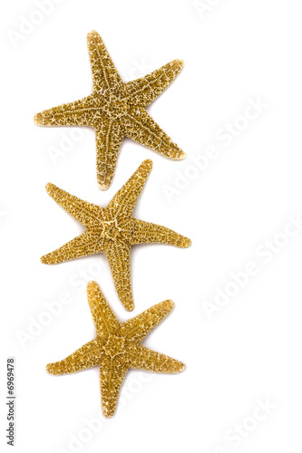 Starfish