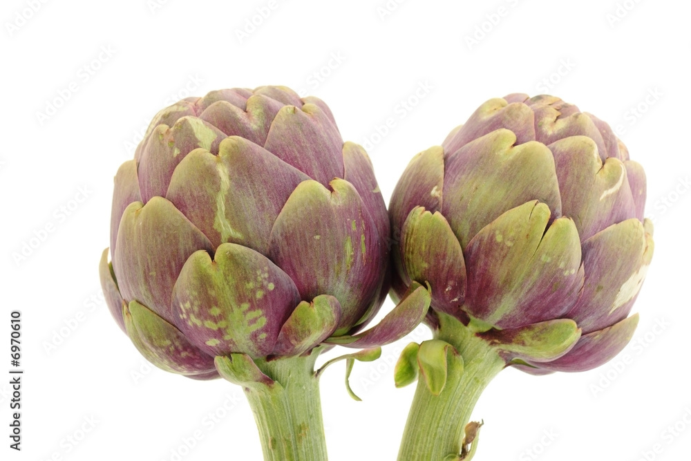 Two artichokes Two artichokes