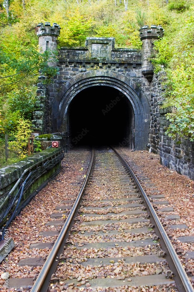 Obraz premium Railroad tunnel