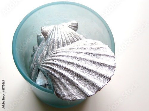 coquille d'argent