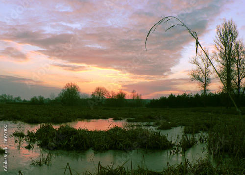 pond