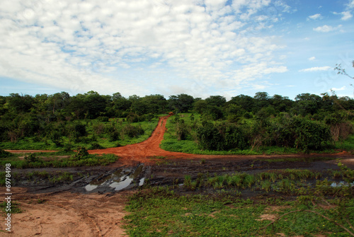 road in savanna