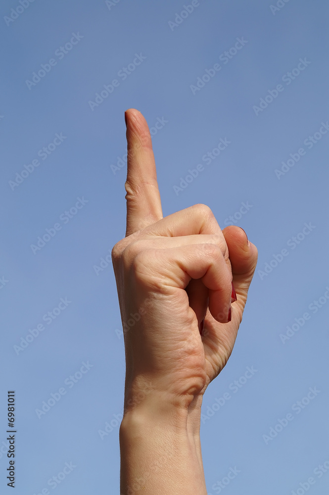 Female's hand Female's hand