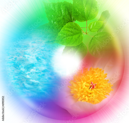 nature abstract concept with details