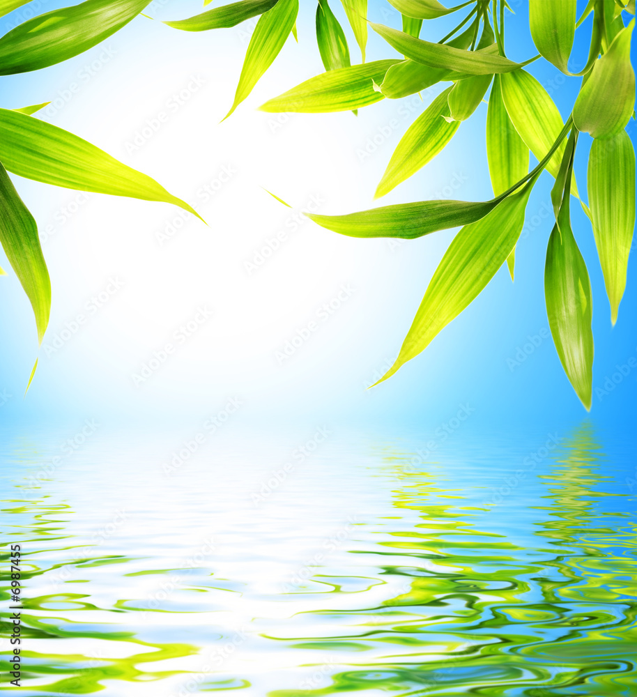 Fototapeta premium Bamboo leaves reflected in rendered water