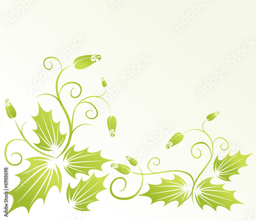 Green floral elegance background