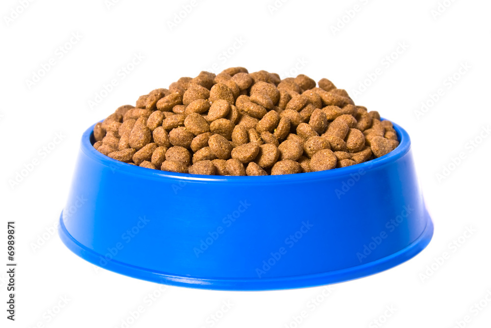 Pet's bowl with meal Pet's bowl with meal