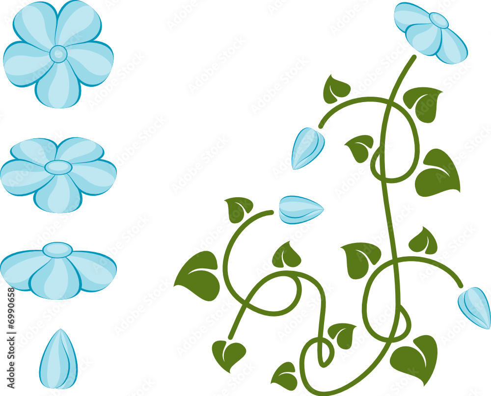 Flower Flower