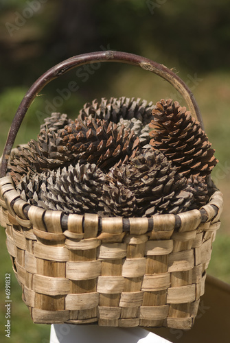 panier de pignes