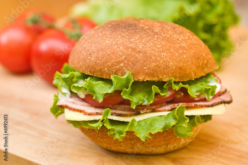Ham & Swiss sandwich with fresh vegetables in background