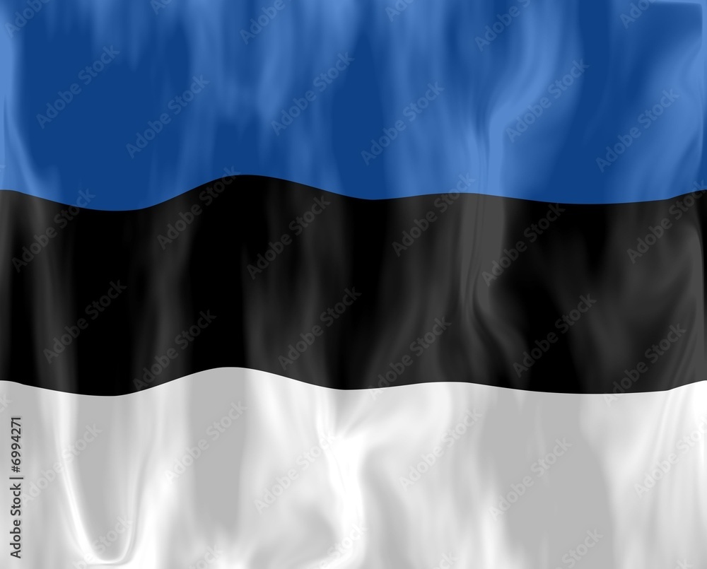 Fototapeta premium estonie drapeau froissé estonia crumpled flag