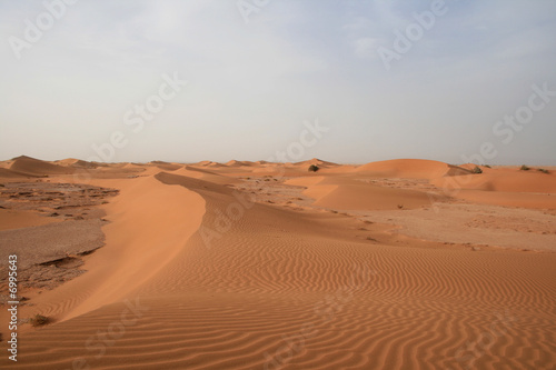 Dunes du Sahara marocain