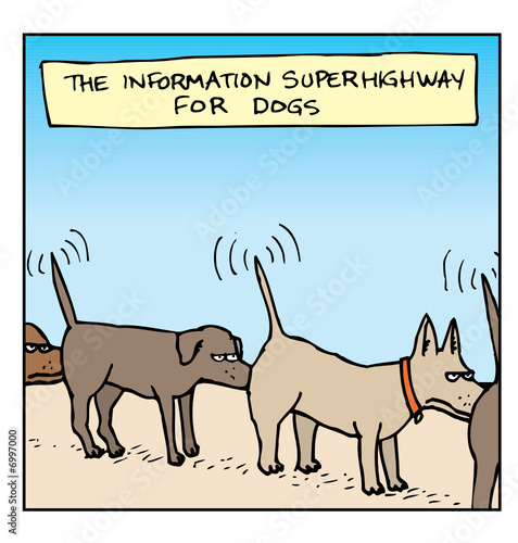 The Information Superhighway for Dogs