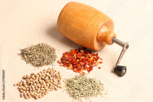 Grinder with spices