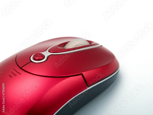 Mouse