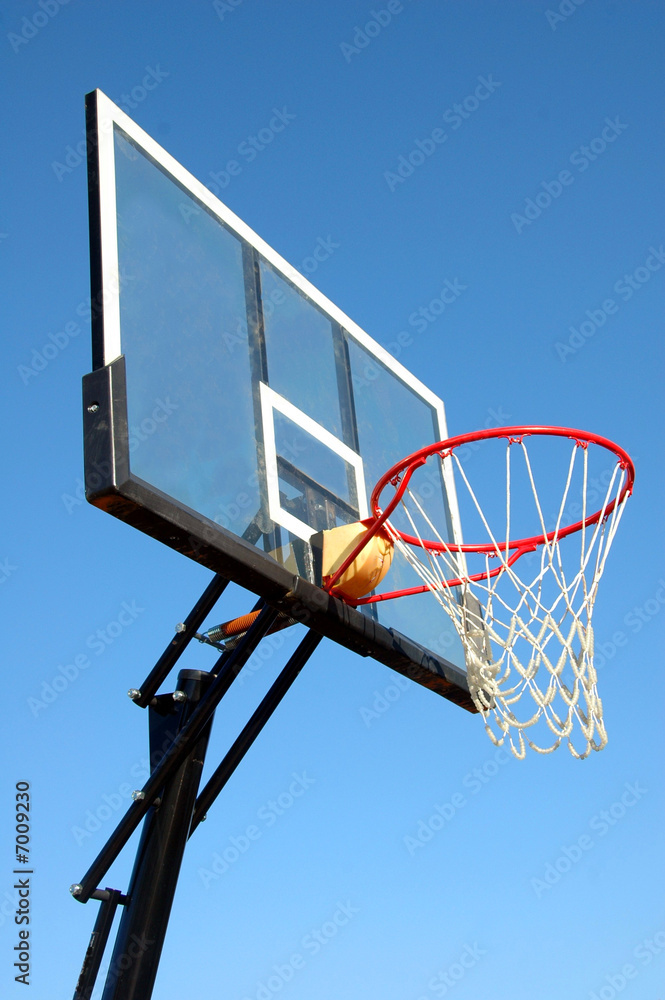 Basketball Net