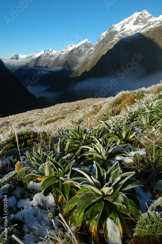 Milford Track landscape