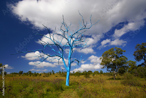 Blue tree photo