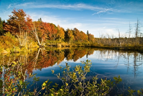 Fototapeta Naklejka Na Ścianę i Meble -  Lush fall foliage reflecting in a lake
