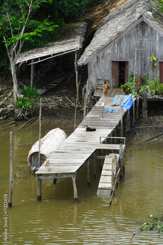Amazonia Lifestyle