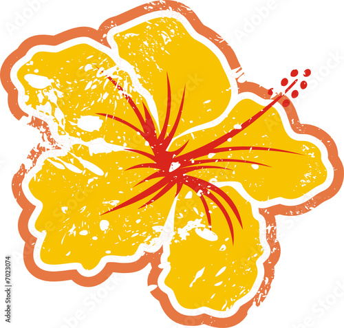 hawaii3