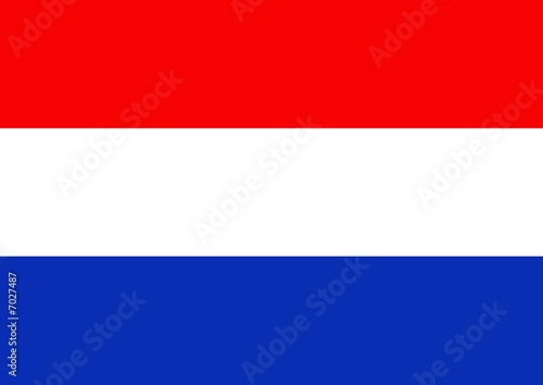 holland flag © darren whittingham