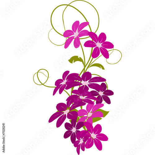vecteur série - bouquet de fleurs isolé sur un fond blanc