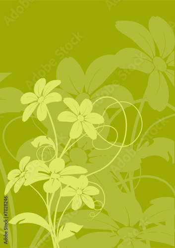 vecteur série - bouquet de fleurs sur un fond vert
