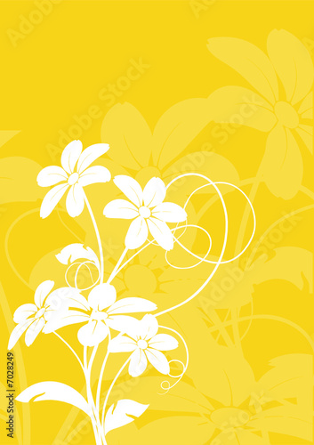  vecteur série - fleur tropicale sous le soleil