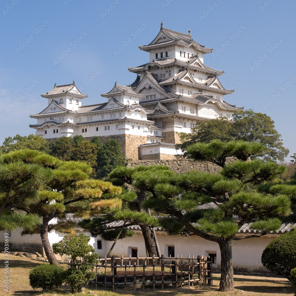 Fototapeta premium Himeji Castle