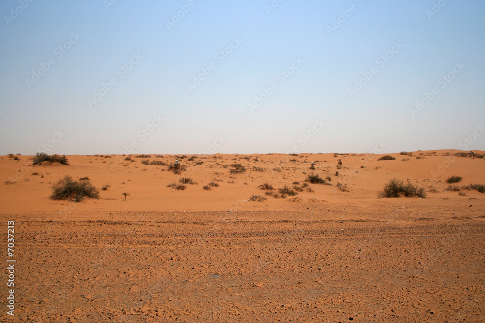 Desert in Saudi Arabia