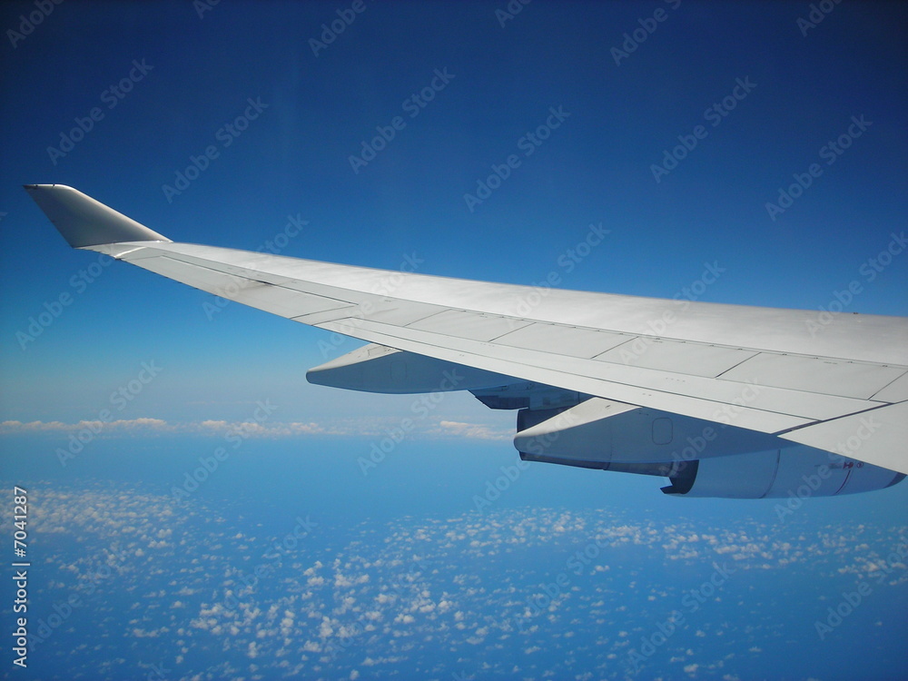avion avion