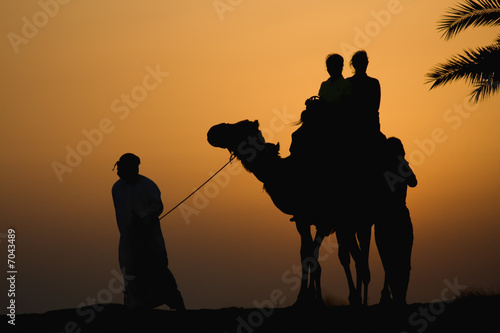 Camel Rides in The Dubai Desert