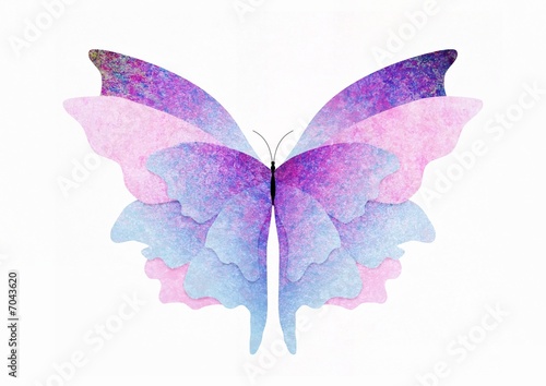 Textured butterfly
