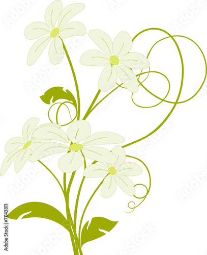 vecteur série - bouquet de fleurs vertes