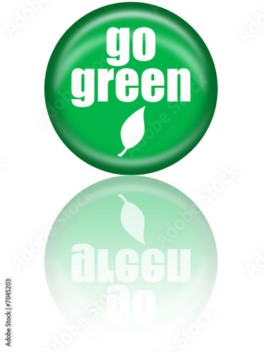 Go Green Leaf Pin with Reflection