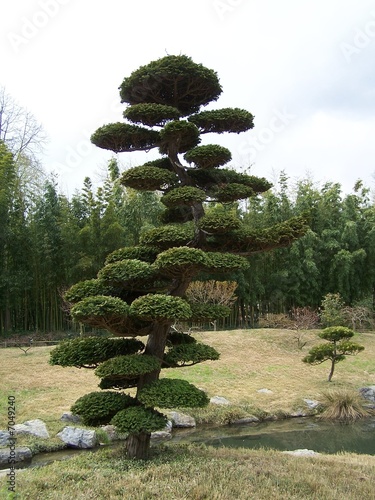 jardin japon 2