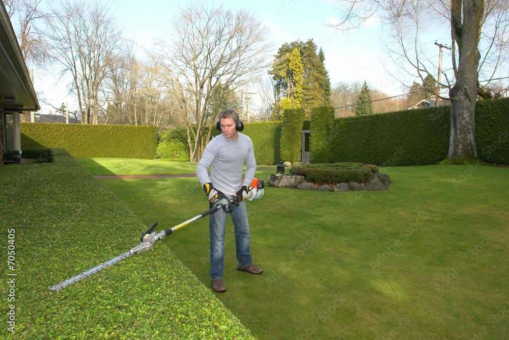 Fototapeta premium gardener