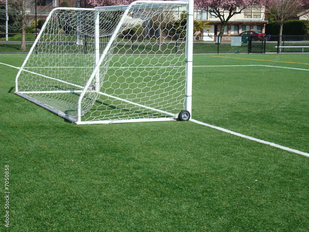 Obraz premium soccer field