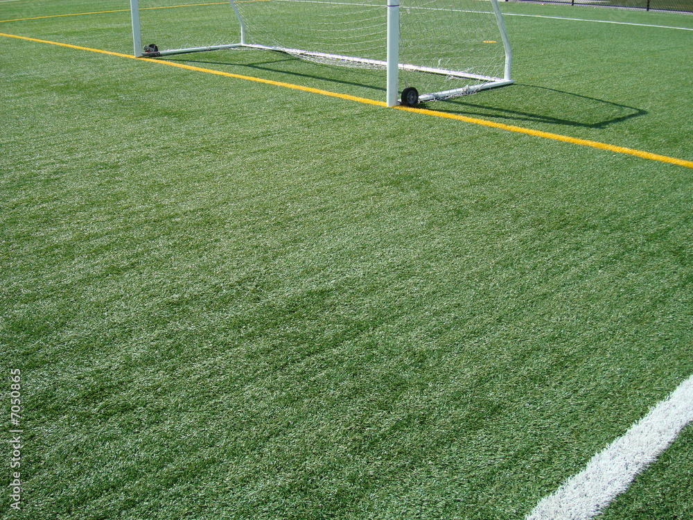 Fototapeta premium soccer field