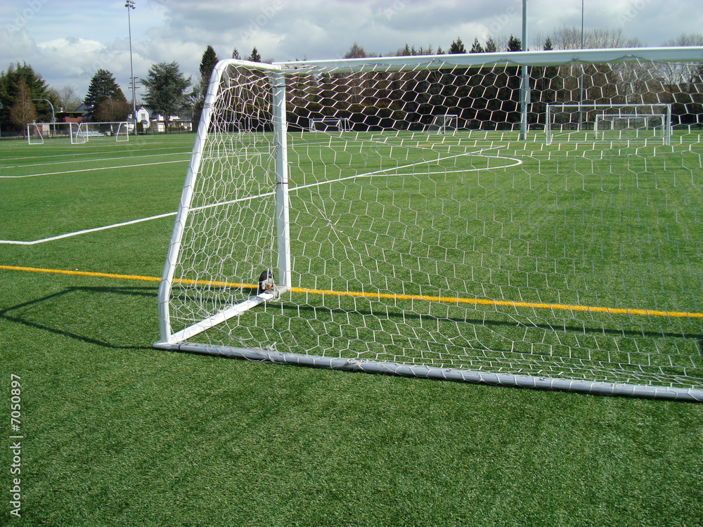 custom made wallpaper toronto digitalsoccer field