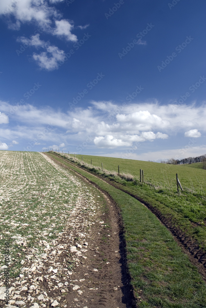 Landscape in Cotswold. England