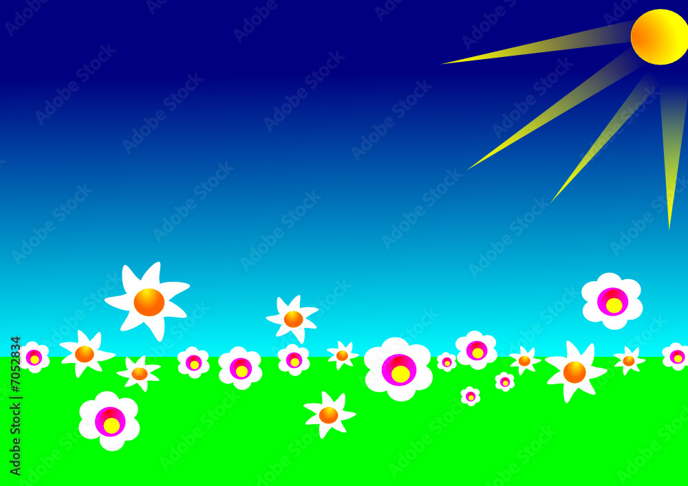 paquerettes et fleurs de champs