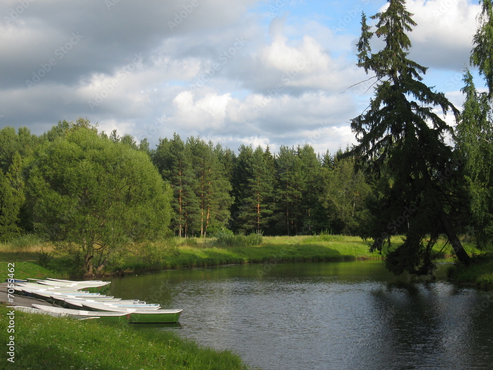 Forest lake. Recorded in park in Pavlovsk, Russia Forest lake. Recorded in park in Pavlovsk, Russia