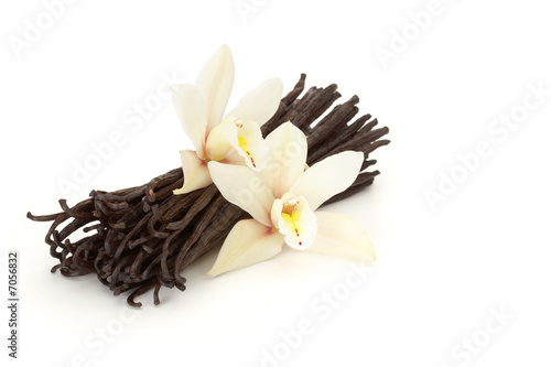 vanilla flowered