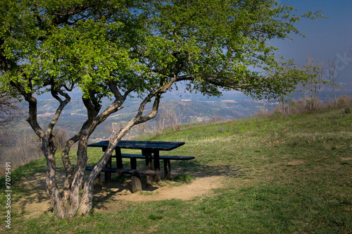 Empty picnic table