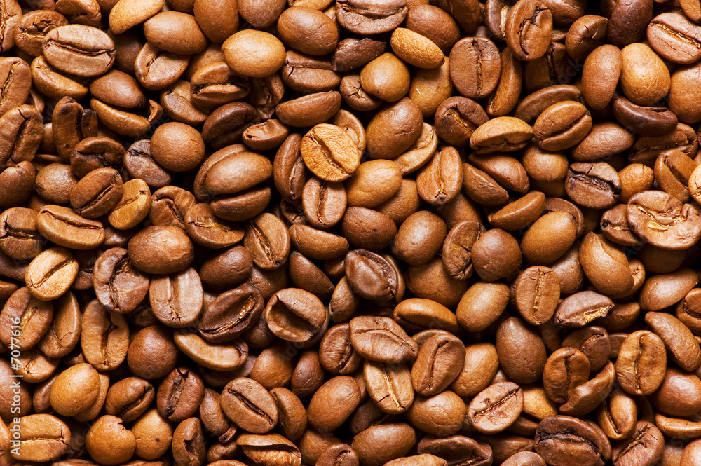 Close up of freshly roasted coffee beans Close up of freshly roasted coffee beans