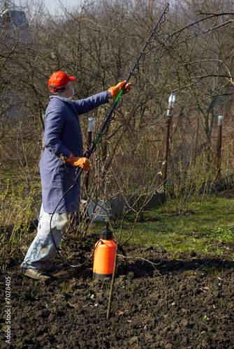 gardener
