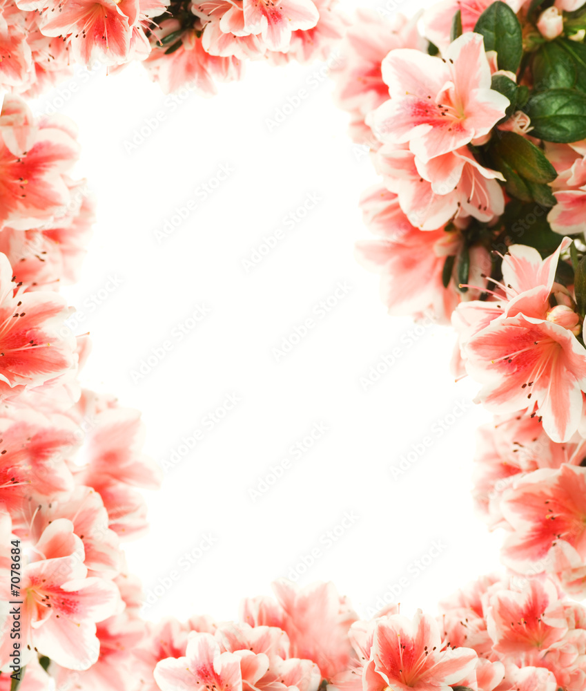 Beautiful floral border